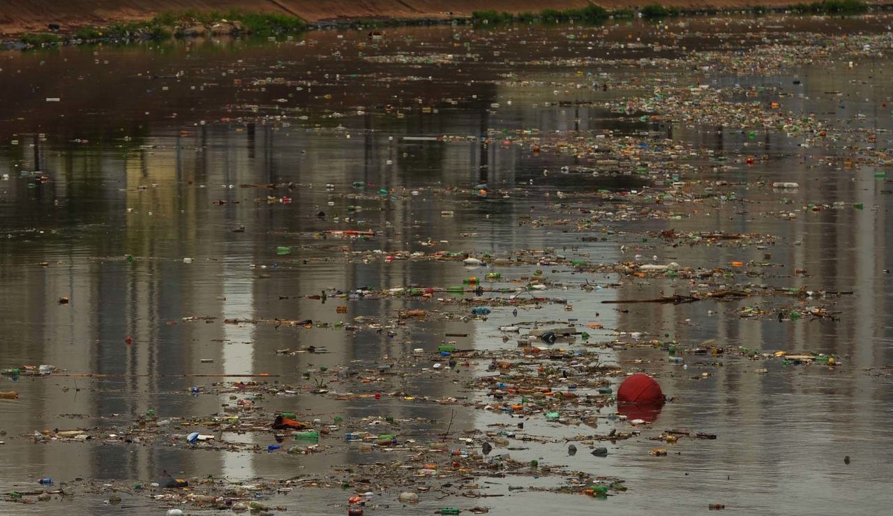 Qualidade Da Gua No Rio Tiet Em Guarulhos Ruim Aponta Pesquisa