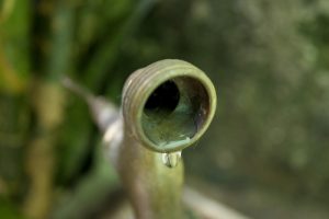 Notícias Falta de água - torneira