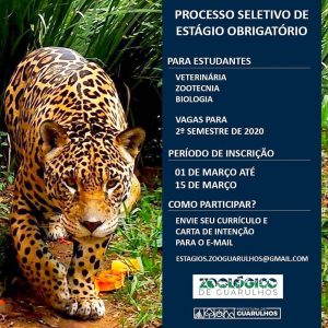 Notícias Notícias