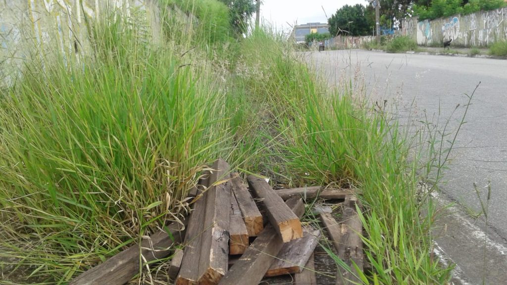 Mato alto e entulho prejudicam passagem de pedestres no Jardim Adriana