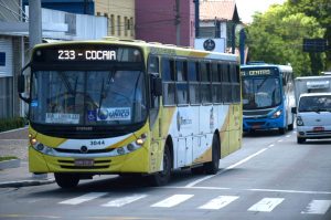 Notícias ônibus-cocaia