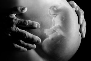 Gestação bebê aborto