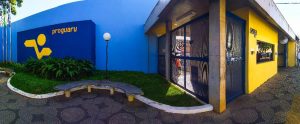 Sede Proguaru