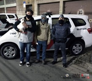 cachorro furtado é encontrado