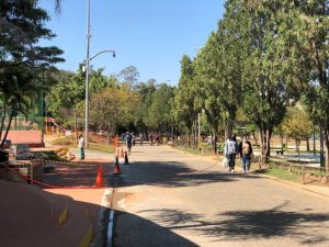 Bosque Maia