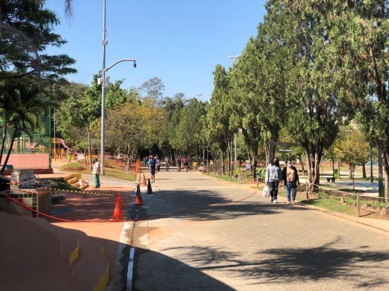 Bosque Maia