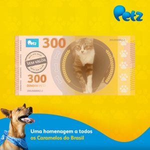 Nota de 300 com pet personalizado