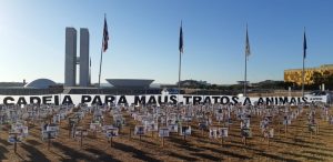 maus-tratos protesto