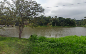 Notícias Notícias