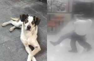 Notícias Notícias