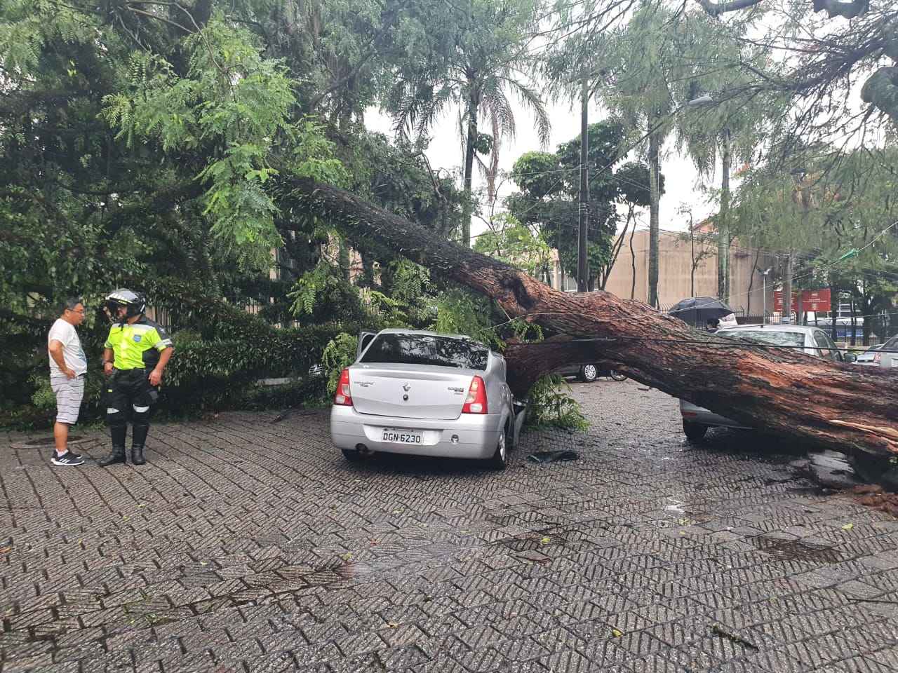 árvore cai sobre carro_Easy-Resize.com