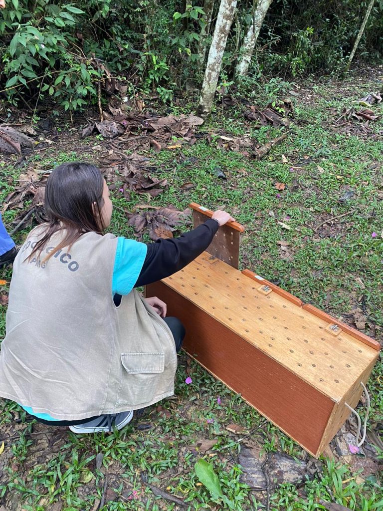 Zoo de Guarulhos trata e devolve à natureza 233 animais