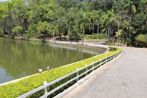 parque estadual