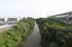 rio baquirivu-Guaçu