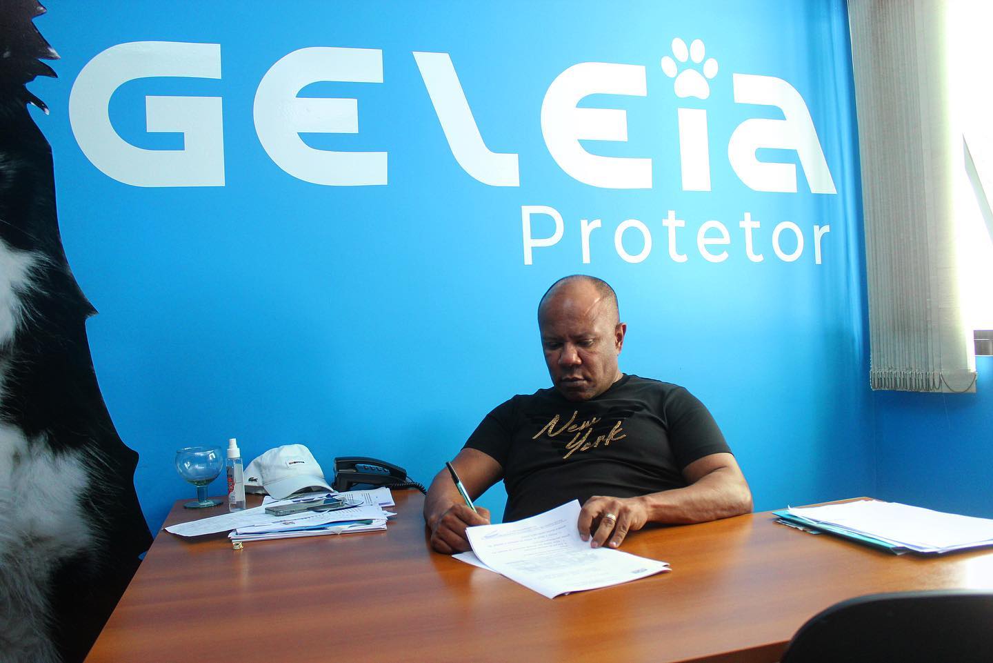 vereador Geleia Protetor