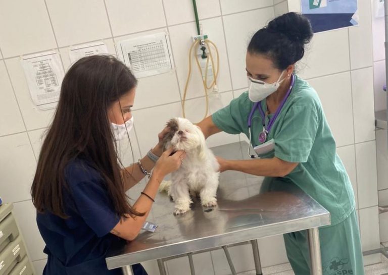 Hospital Veterinário UNG