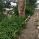 falta de zeladoria na Vila Galvão