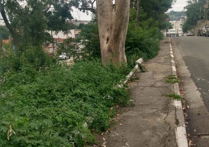 falta de zeladoria na Vila Galvão