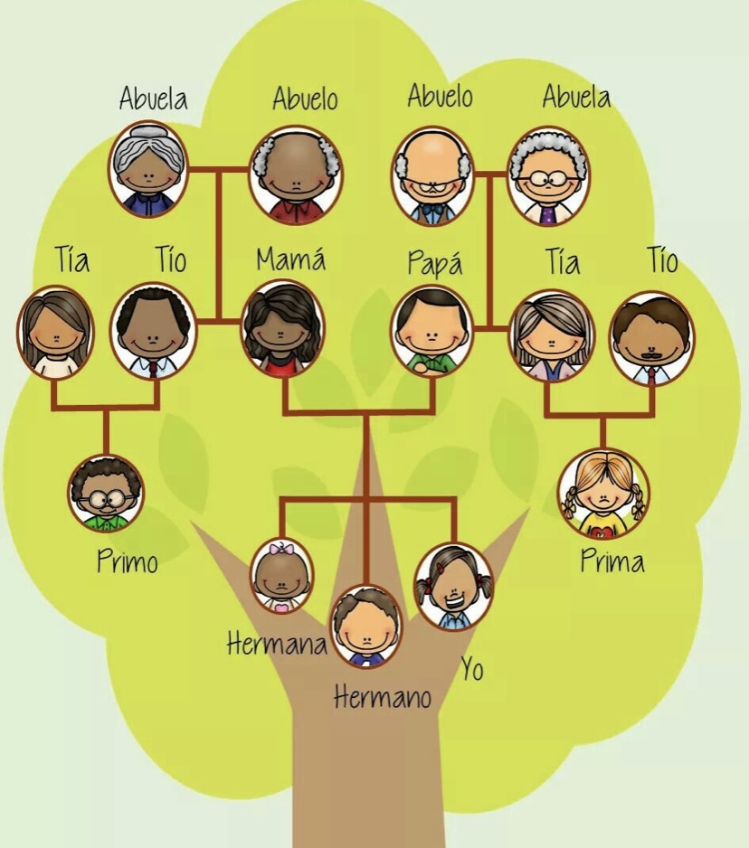 Arvore Genealógica