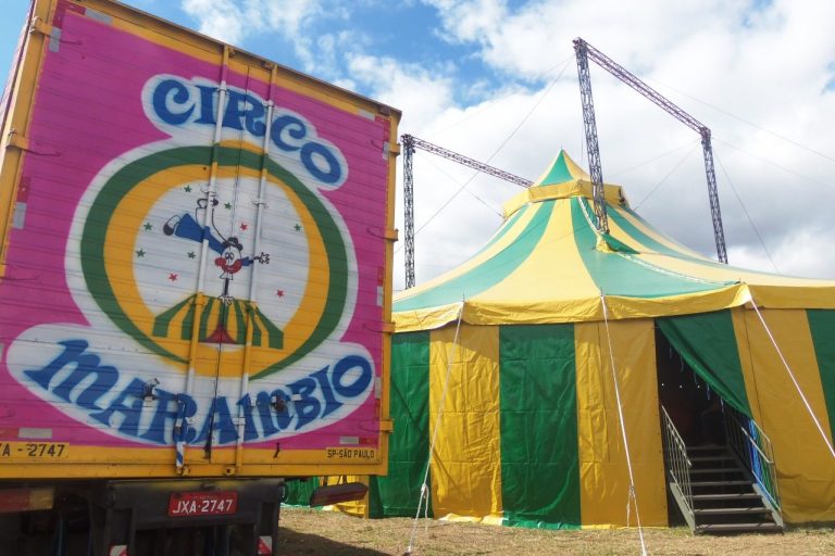 Circo Marambio