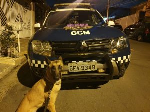 GCM no Jardim Palmira