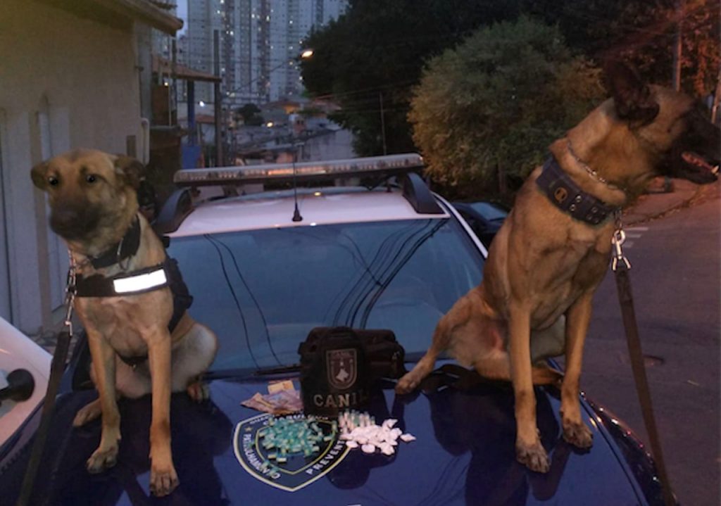 Homem é preso com maconha na São Rafael com ajuda de cães farejadores