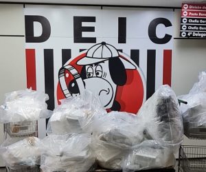 Cocaína Apreendida