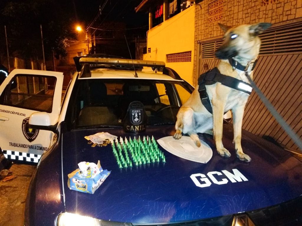 Tráfico de drogas - GCM