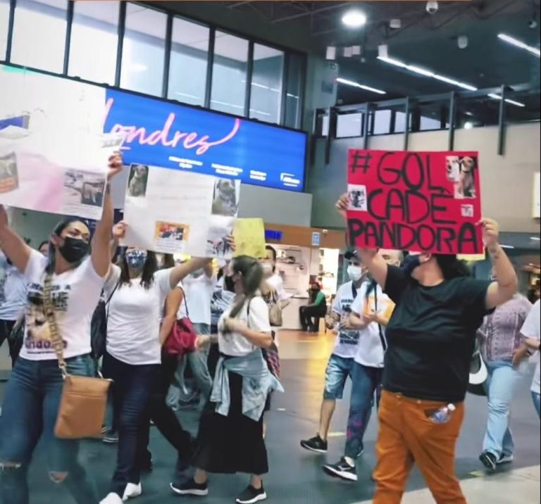 Protesto por Pandora