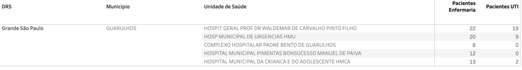 Guarulhos volta a ter mais de 100 pacientes internados por covid em hospitais públicos dados de leitos de covid-19 em hospitais
