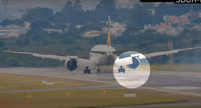 Boeing acerta pássaro