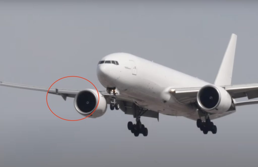 Bird Strike Aeroporto