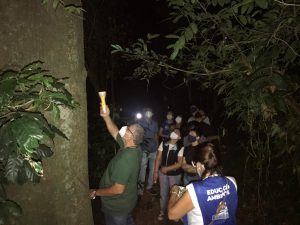 visita monitorada bosque maia