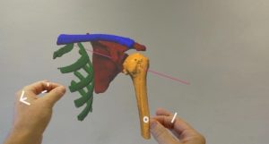 Cirurgia Nipo - realidade virtual mista