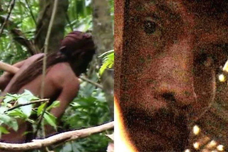 índio do buraco