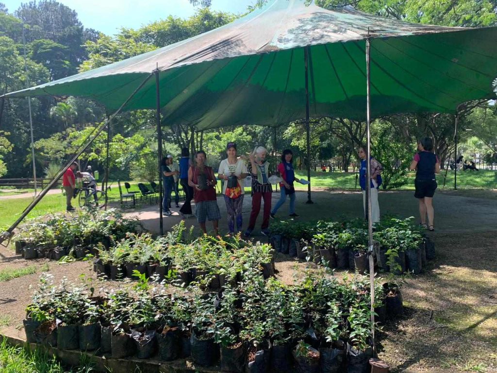 distribuição de mudas no Horto Florestal