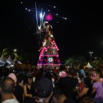 arvore de natal