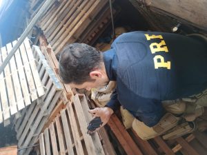 apreensão de cassiterita pela PRF