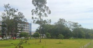 corpo encontrado em guarulhos