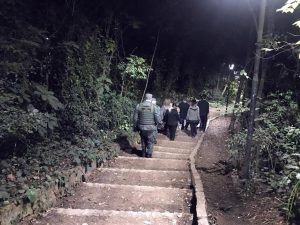visita noturna no Bosque Maia