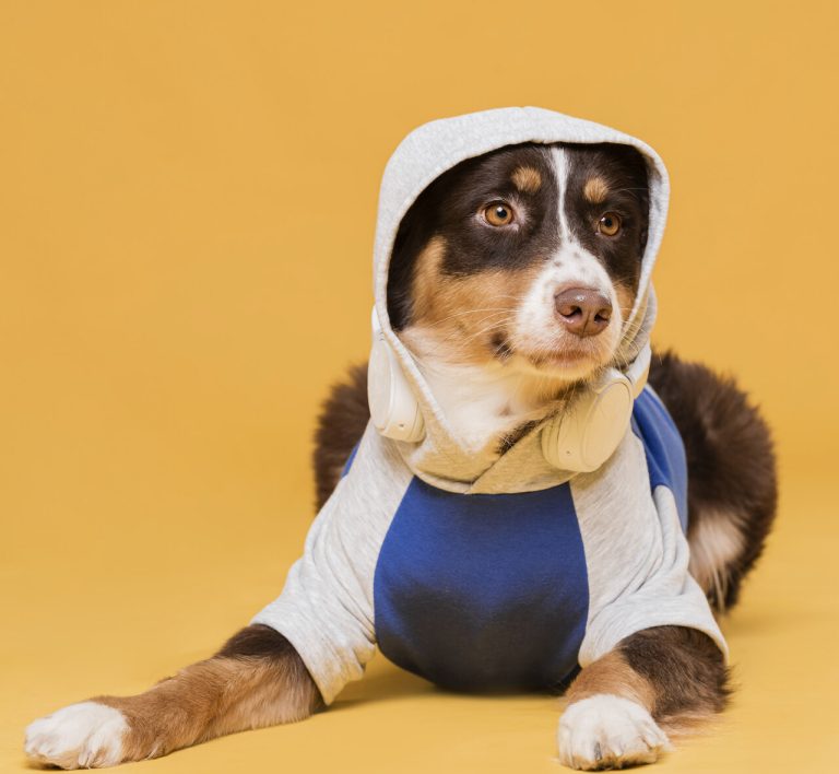 Roupa de cachorro