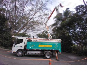 Veículo da EDP faz poda de árvore