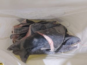 Barbatana de tubarão