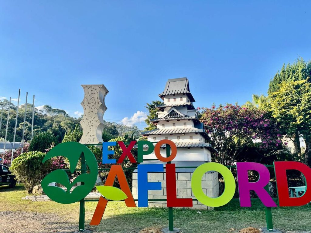 Expo Aflord