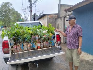 doação de mudas de árvores