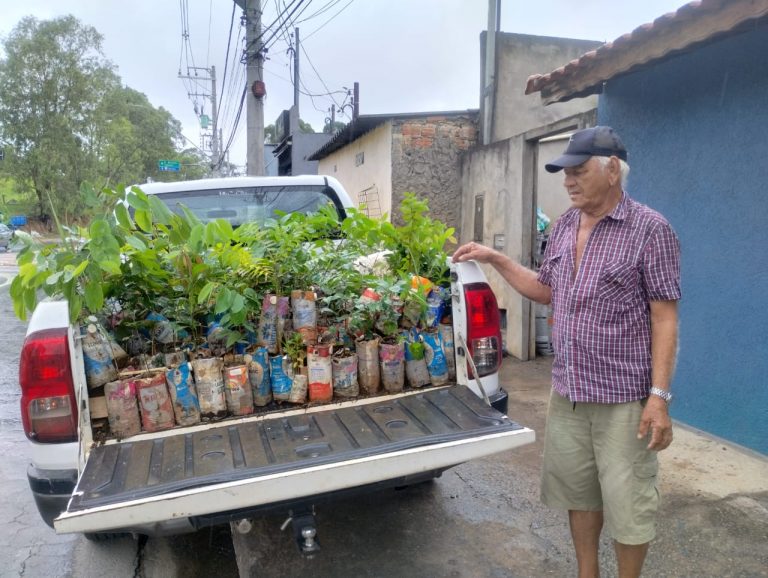 doação de mudas de árvores