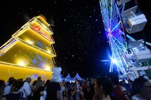 Árvore de Natal no Bosque Maia