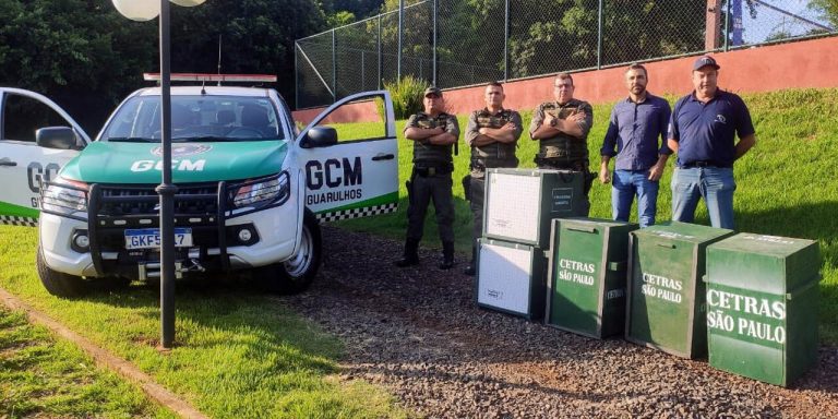 GCM Ambiental realiza soltura de animais