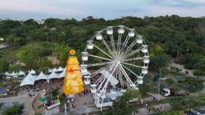 Natal no Bosque Maia