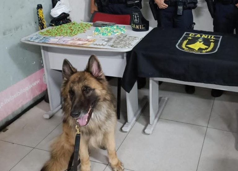 GCM tráfico